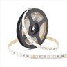 5050 RGBW LED灯带