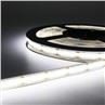 Tunable White COB LED Strip